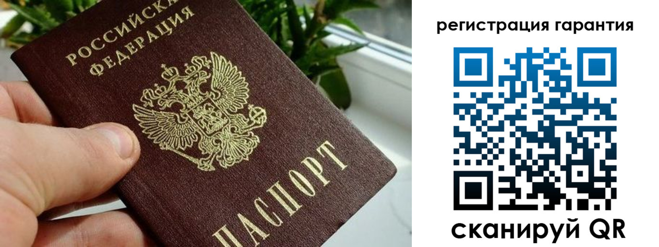 временная регистрация надежно в Морозовске